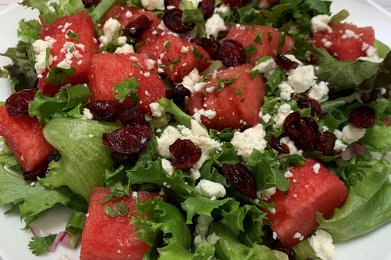 Watermelon Cranberry Salad